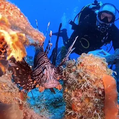Foto 4 de Dive Dominicana - PADI & IANTD Diving center