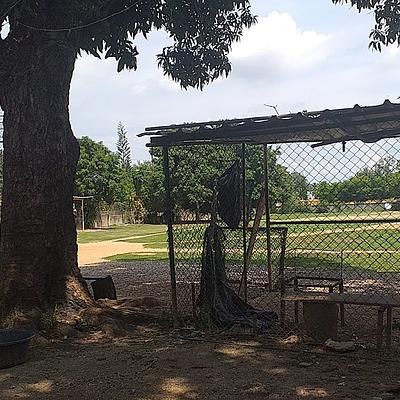 Foto 1 de Academia De baseball (Carlos Almánzar)