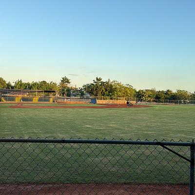 Foto 1 de Academia Sánchez Béisbol