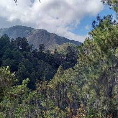 Foto 4 de Pinar del Valle - Camping y Glamping en Constanza