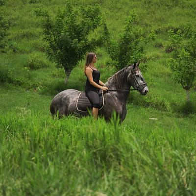 Foto 3 de Equi Symphony