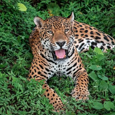 Foto 4 de Zoológico