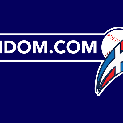 Foto 2 de Liga de Béisbol Profesional de la República Dominicana, Inc. (LIDOM)