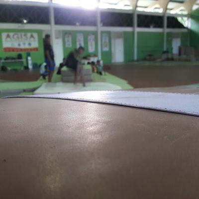 Foto 1 de Pabellón De Gimnasia Artística AGISA