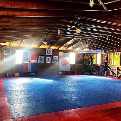 Foto 1 de Dimitrova Training Academy